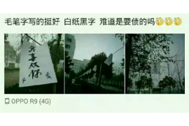 广阳为什么选择专业追讨公司来处理您的债务纠纷？